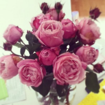 Profile Picture of Kiesha Wright (@xKieshaxwrightx) on Twitter