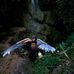 Profile Picture of Tom Adkins (@tom.adkins.7568) on Facebook