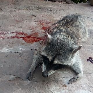 Profile Picture of Benjamin Camarillo (@benjamin.camarillo.792) on Facebook