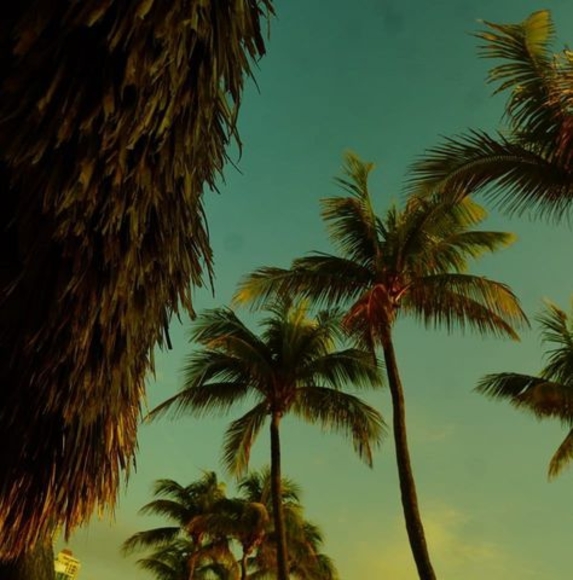 Profile Picture of Dustin Mudek (@dustinmudek73) on Poshmark