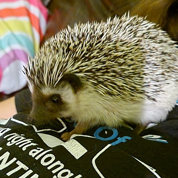 Profile Picture of Lucy Killmer (@lucycloths) on Poshmark