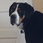 Profile Picture of Andrew Kiewel (@andrew_kiewel) on Instagram