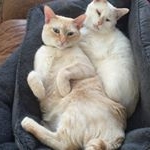 Profile Picture of Linda Fentzke Joseph (@griswalds704) on Instagram