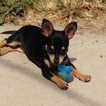 Profile Picture of Debra Hightower (@ddolphins73) on Instagram