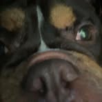 Profile Picture of Owen Holmes (@Owen-Holmes) on Facebook