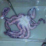 Profile Picture of Chris Blough (@chriswblough) on Instagram