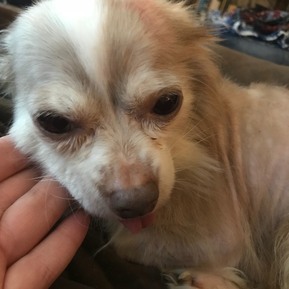 Profile Picture of Carly Adams (@carlyrocker) on Poshmark