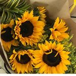Profile Picture of Iris Spath C (@irispathc) on Instagram
