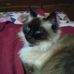 Profile Picture of Roberta N Abrams (@robertan.abrams) on Facebook