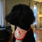 Profile Picture of Jacob Steer (@jacob.steer.370) on Facebook