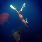 Profile Picture of Kae Onodera (@onoderakae) on Instagram