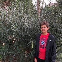 Profile Picture of Kevin Karkafi (@kevin-karkafi) on Quora