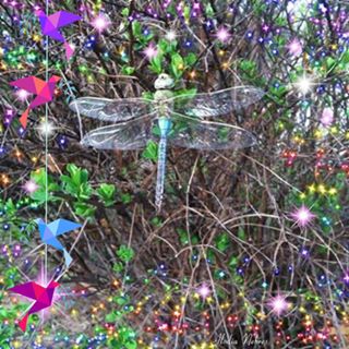 Profile Picture of Polly Hollenbeck (@polly.harris.7796) on Facebook