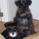 Profile Picture of Lotte Hansen (@lotte.hansen.775) on Instagram