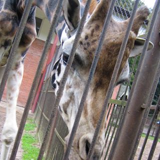 Profile Picture of Jonas Verba (@jonas.verba) on Facebook