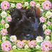 Profile Picture of Kelly Cawley (@kelly.cawley.75) on Facebook