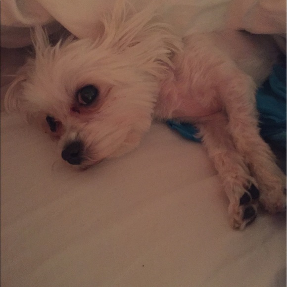 Profile Picture of Kiley Serrette (@kileybert) on Poshmark