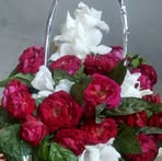 Profile Picture of Saima Arif (@saima.arif.7370013) on Facebook
