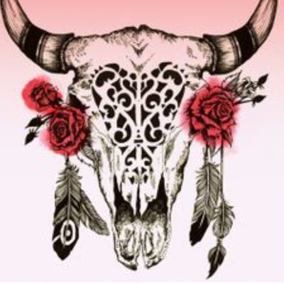 Profile Picture of Debra Bradley (@cwgrlfromnowhr) on Twitter