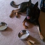 Profile Picture of Sam Bradshaw (@sammy_bradshaw) on Instagram