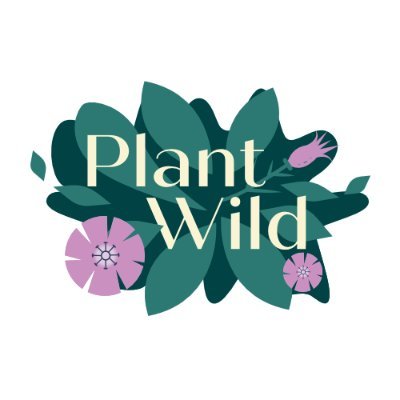 Profile Picture of Keith & Suzanne (@plantwild) on Twitter