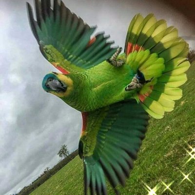 Profile Picture of Edison rua (@Edisonrua2) on Twitter