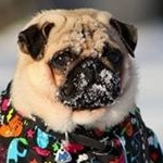 Profile Picture of Cora Toledo (@corazontoledo1003) on Instagram