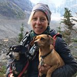 Profile Picture of Nancy Reid (@artdogzbynancy) on Instagram