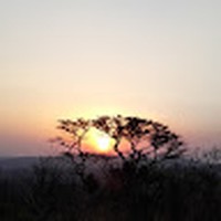 Profile Picture of Kevin Jurgens (@kevin-jurgens-6) on Quora