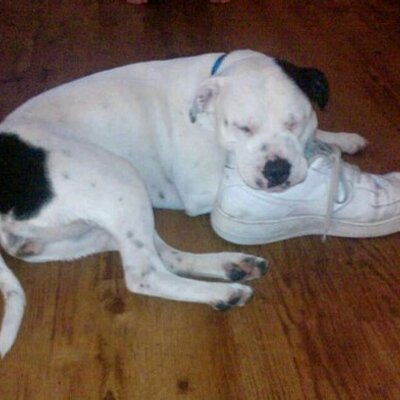 Profile Picture of Jason Mccabe (@jasonmccabe6) on Twitter
