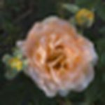 Profile Picture of Patrick Bryson (@patsphotos2) on Flickr