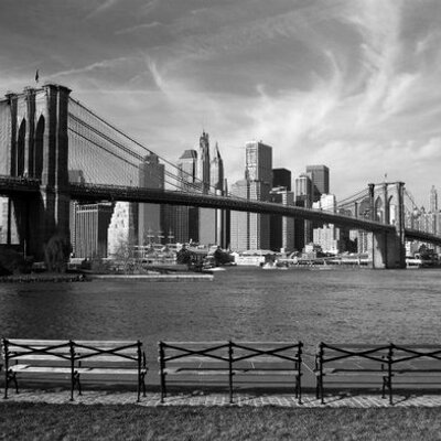 Stephen Spinelli - Twitter Profile Picture of Stephen Spinelli (@sspinell) on Twitter