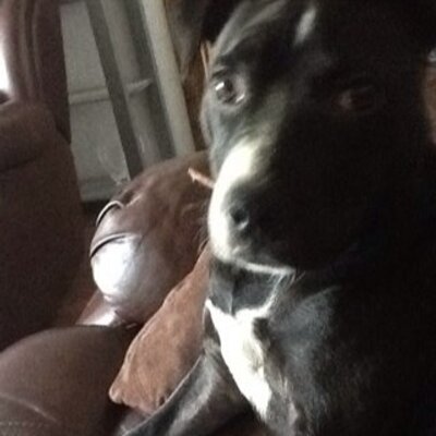 Profile Picture of Rita (@ritabooker) on Twitter