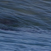 Profile Picture of Gamal Mikoch (@gamalmikoch1197) on Youtube