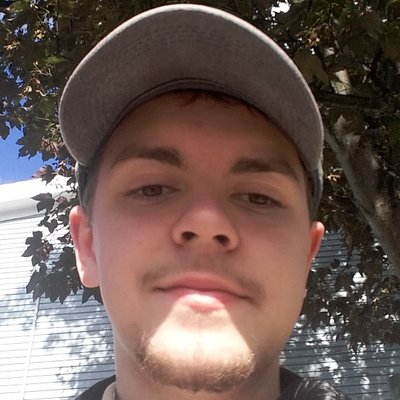 Profile Picture of 𝕽𝖔𝖇𝖊𝖗𝖙 𝕷𝖆𝖓𝖌𝖉𝖔𝖓 (@ProbablyStable) on Twitter