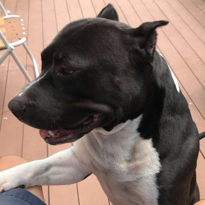 Profile Picture of Kevin Rod (@castle797) on Tiktok