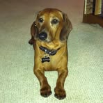 Profile Picture of Daryl Sudduth (@daryl.sudduth.9) on Facebook