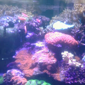 Profile Picture of Natalie Anzic (@natalieanzic3279) on Youtube