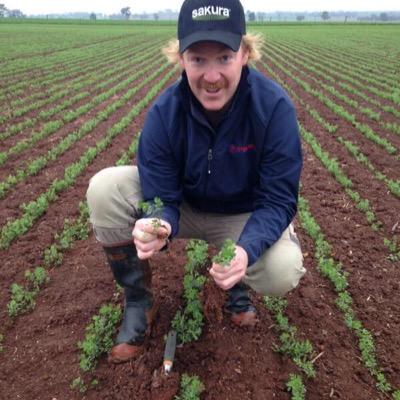 Profile Picture of Tom Harding (@Cliffharding) on Twitter