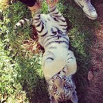 Profile Picture of Christopher Daugherty (@joshuptopi) on Instagram