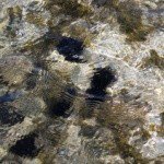 Profile Picture of Madera (@maderasteven877) on Instagram