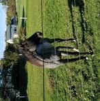 Profile Picture of Jim Chiarella (@Jim-Chiarella) on Facebook