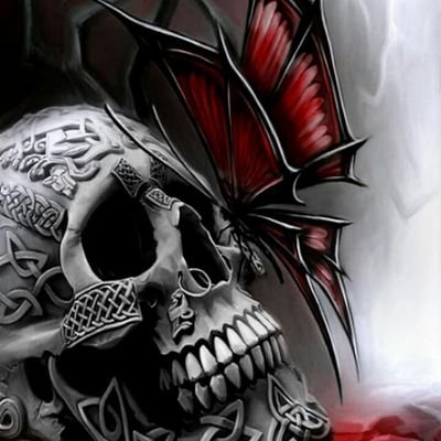 Profile Picture of Maverick (@RobertLeMire11) on Twitter