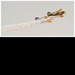 Profile Picture of robinperrin6 (@robinperrin6) on Instagram