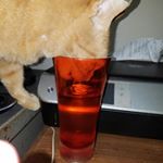 Profile Picture of Barry Ratcliff (@lbrinc1) on Instagram