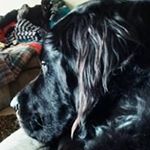 Profile Picture of Joshua Soper (@joshuasoper) on Instagram