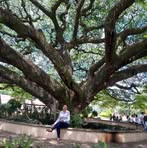 Profile Picture of Elsy Izaguirre (@daniel.rapalo.879865) on Facebook