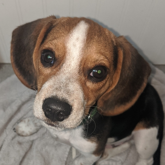 Profile Picture of Jim Kleiber (@jimkleiber) on Poshmark