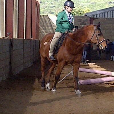 Profile Picture of Jody Ramsay (@jody_ramsay) on Twitter