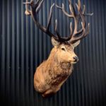 Profile Picture of Ashton (@sharpy920) on Instagram